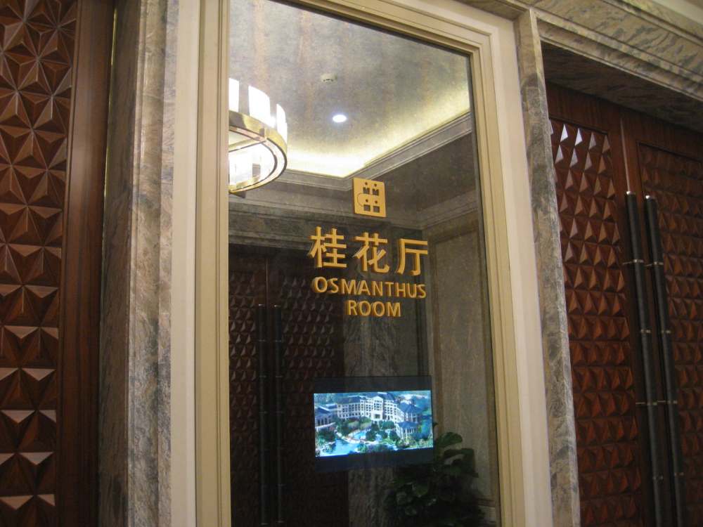 新昌绿城雷迪森大酒店（美国威尔逊设计公司作品）_IMG_8249.JPG