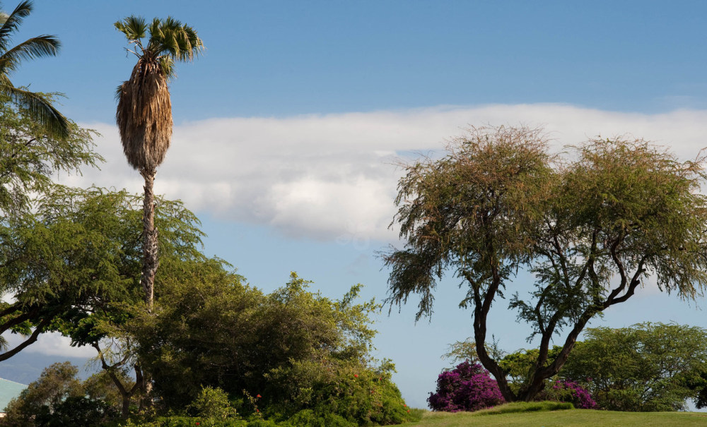 （毛伊岛）四季度假酒店 Four Seasons Resort Maui官方摄影_golf-four-seasons-maui-v390235-1280.jpg