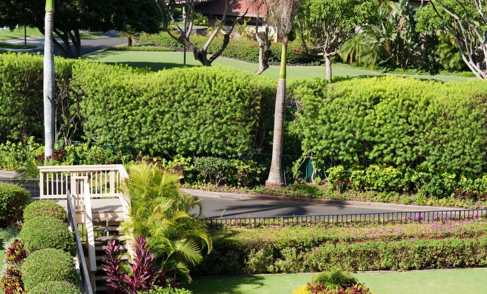 （毛伊岛）四季度假酒店 Four Seasons Resort Maui官方摄影_grounds-four-seasons-maui-v390254-1280.jpg