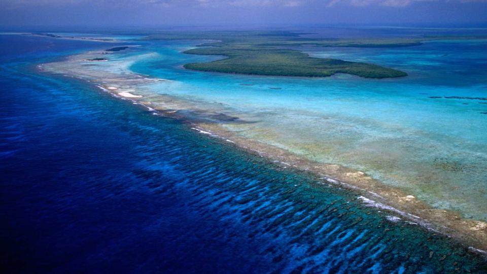 伯利兹圣佩德罗Las Terrazas Resort_Belize-s-Barrier-Reef.jpg