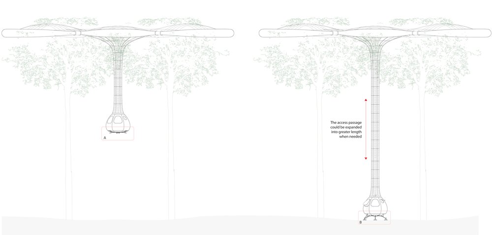 dezeen_Explorative-Canopy-Trail-by-Yvonne-Weng_a_1000.gif
