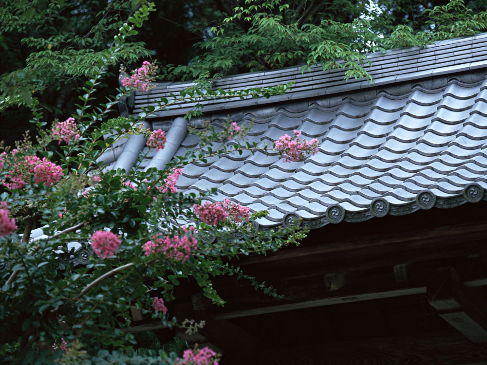 Kyoto079.jpg