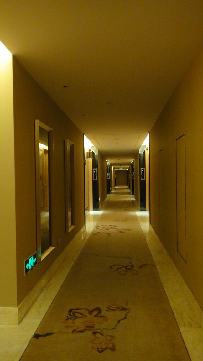 广州万达白云希尔顿酒店 (Hilton Guangzhou Baiyun) (CCD)_DSC09534.JPG