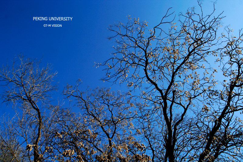 北京大学美景._北京大学美景 (9).jpg