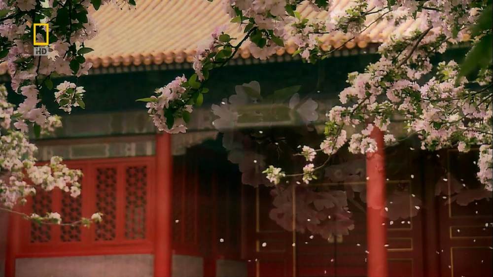 紫禁城解密 720P HD高清_紫禁城解密 (80).jpg