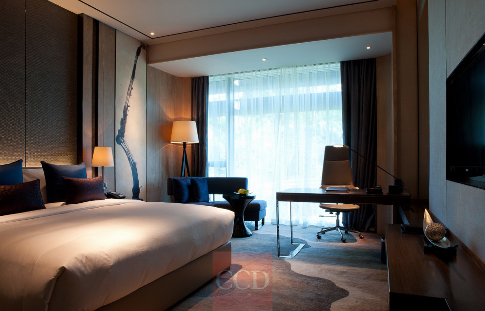 Hilton Shenzhen JPG HD-0469.jpg