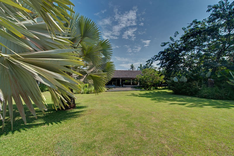 巴厘岛Samadhana 渡假别墅_Samadhana - madagascan palm view of villa.jpg