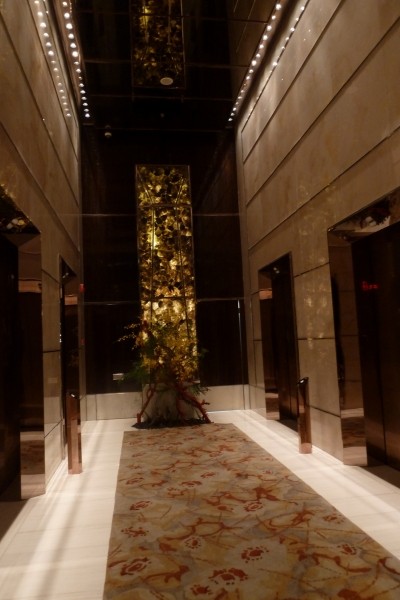 上海浦东丽思卡尔顿酒店(Ritz-Carlton Shanghai Pudong)(Burega Farnell)_184440oslo2ltxmohs2hsh_jpg_thumb.jpg