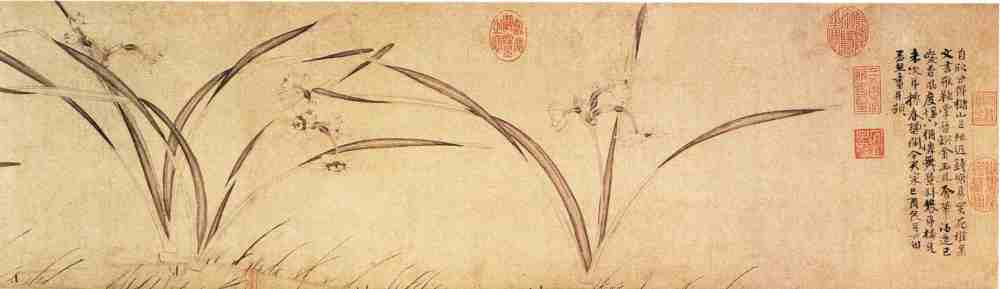 中国古典绘画花鸟集（原版拍摄-马蹄独发）_1B0056.jpeg