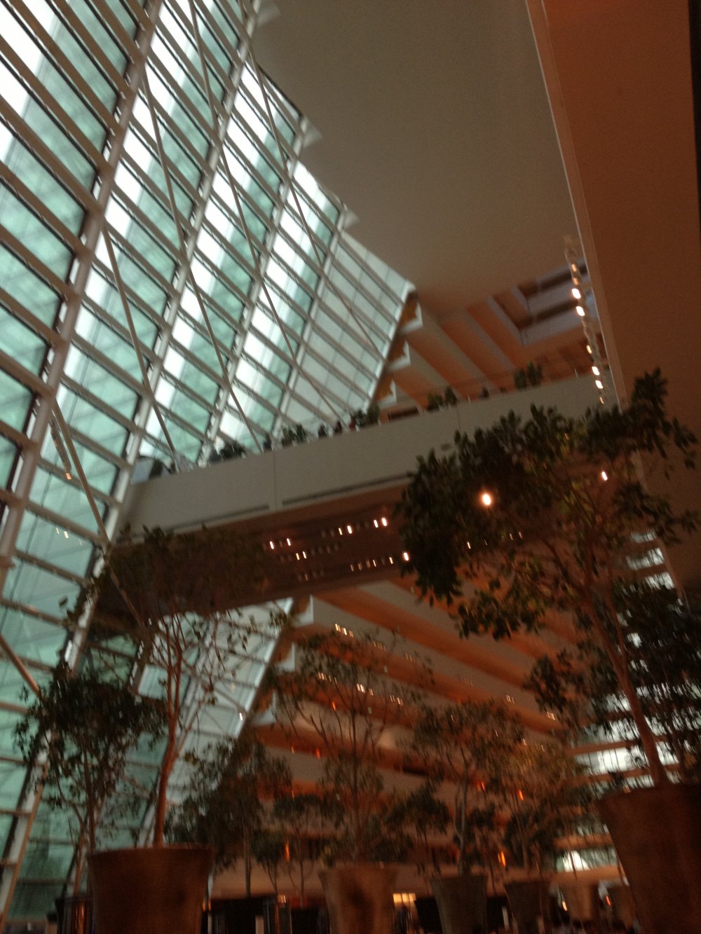 新加坡城市景色_IMG_1051.JPG