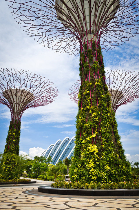 新加坡太阳能垂直花园_Solar-Powered-supertree-1.jpg