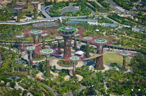 新加坡太阳能垂直花园_Solar-Powered-supertree-2.jpg