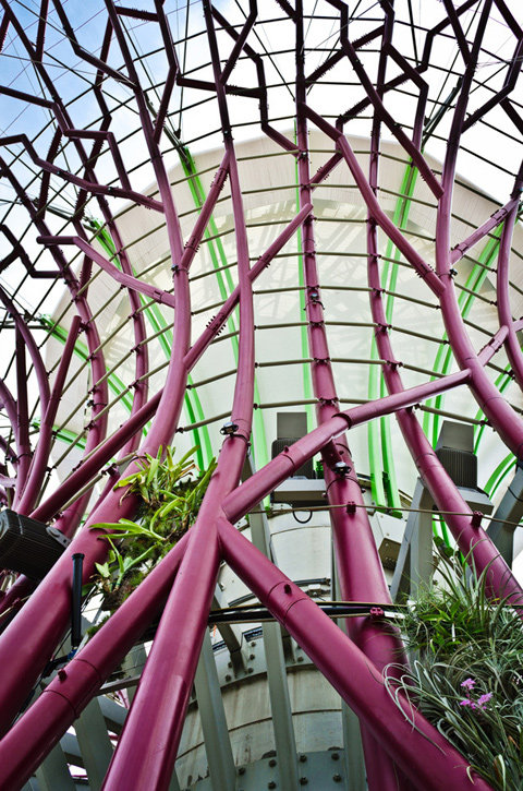 新加坡太阳能垂直花园_Solar-Powered-supertree-4.jpg