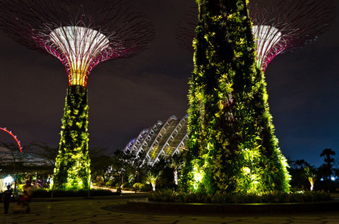 新加坡太阳能垂直花园_Solar-Powered-supertree-8.jpg