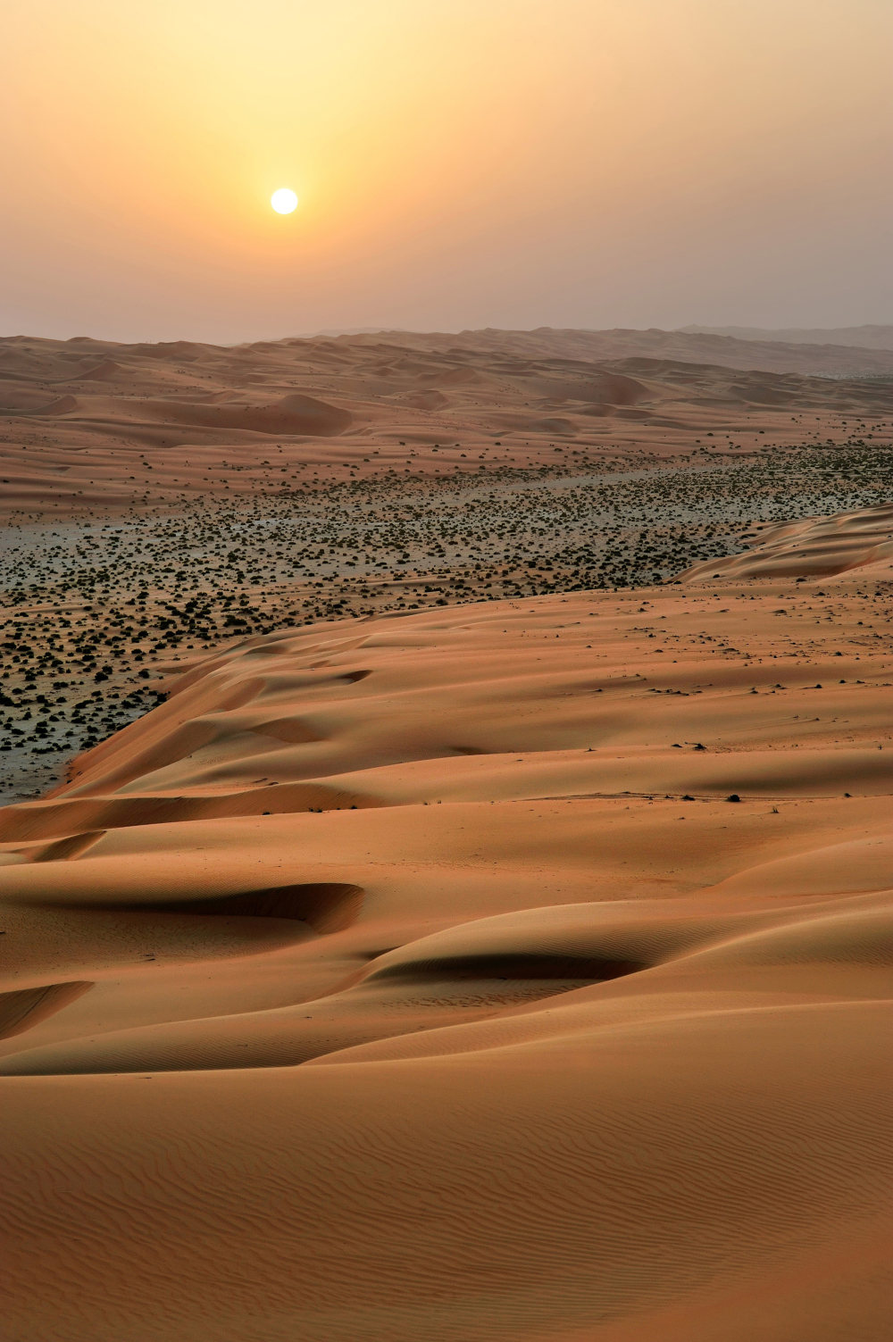 The Empty Quarter\\\'s vast desert expanse.jpg