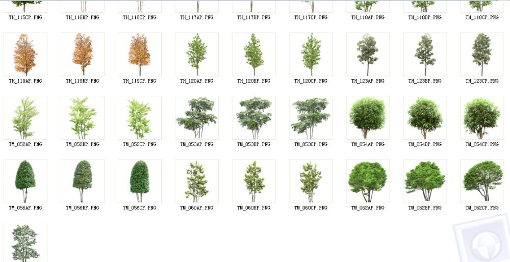 高清PS后期植物(PNG格式抠图相当精细是我最好的一套了）_%RT{EQ`_48@EB9B4XBDQE6V.jpg