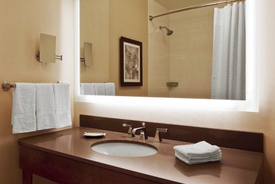 纽约中央车站威斯汀酒店  The Westin New York Grand Central_Traditional-Bathroom-Westin-New-York-Grand-Central-Hotel_lg.jpg