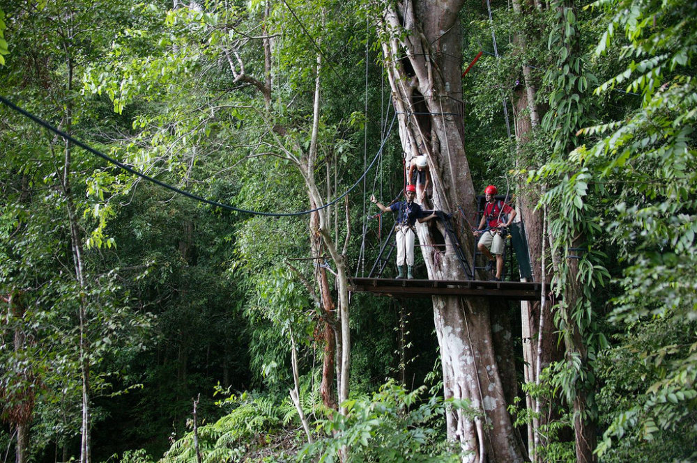 马来西亚兰卡威-威斯汀酒店Westin Langkawi, Malaysia_63)The Westin Langkawi Resort &amp_ Spa—Canopy Trekking 拍攝者.jpg