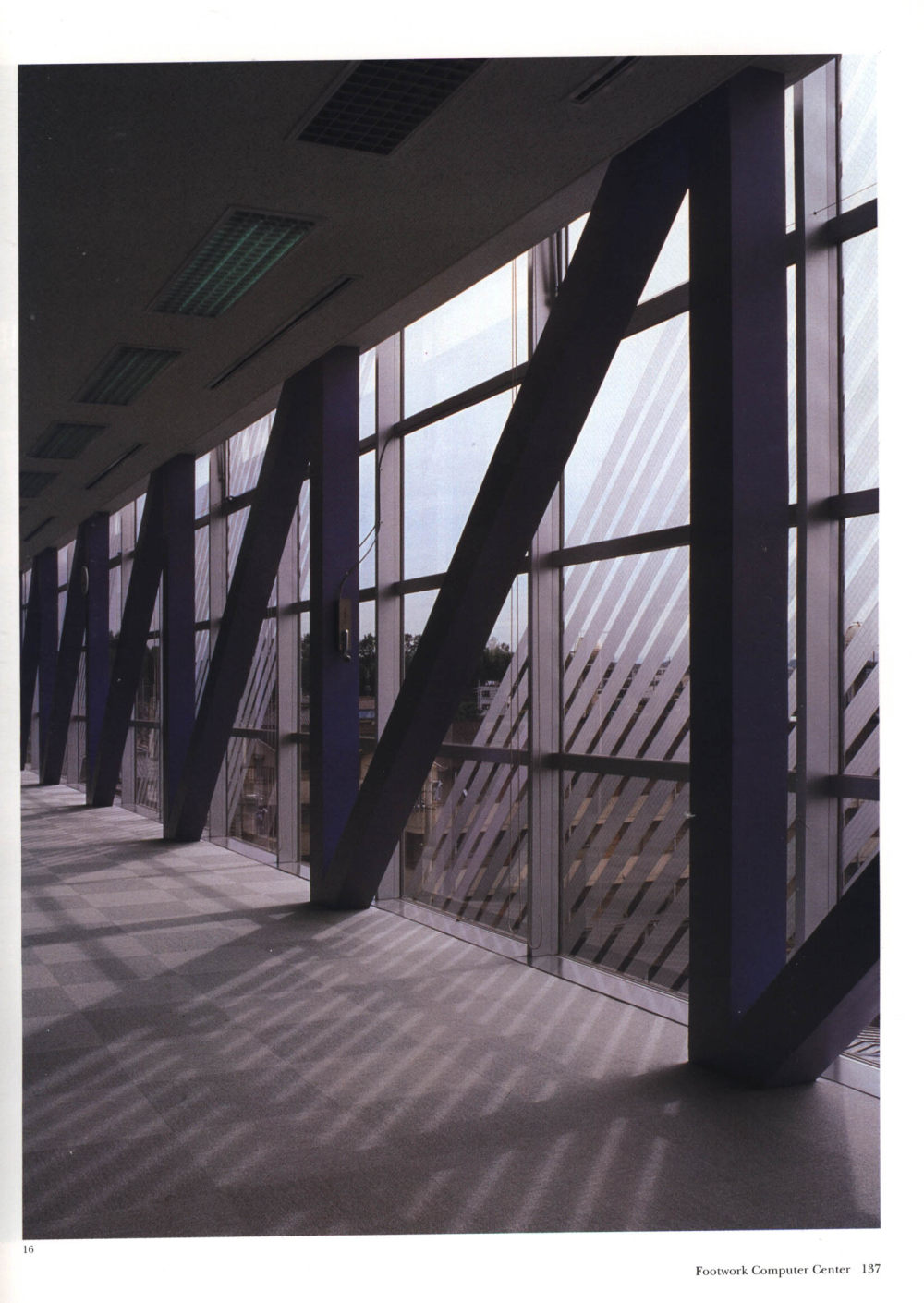 Color111.jpg