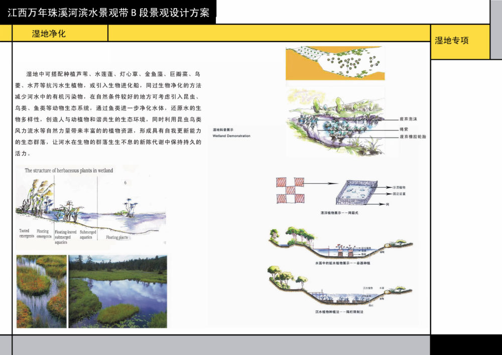 江西万年珠溪河滨水景观B段设计方案_40-3湿地专项.jpg