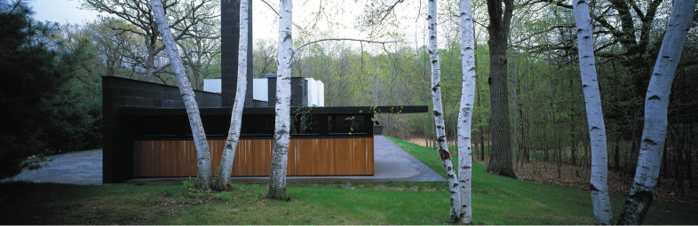 51017e83b3fc4b4e00000051_streeter-residence-david-salmela-architect_05_123882a.jpg