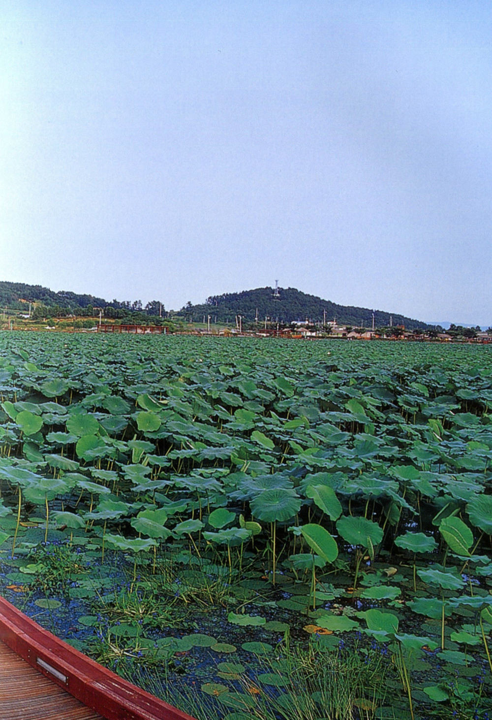 韩国景观3 LANDSCAPE SOACE 3_img245.jpg