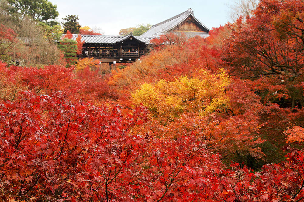 夢回大唐--日本古建築經典攝影鑒賞_东福寺常乐庵庭园2.jpg