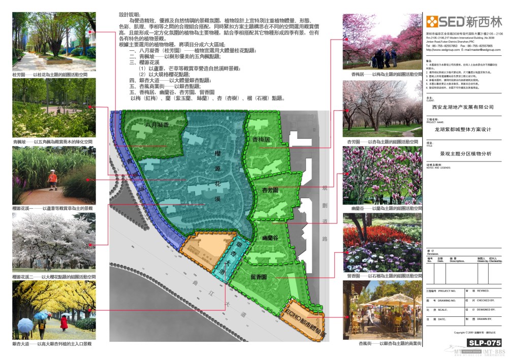 075景观主题分区植物分析.jpg