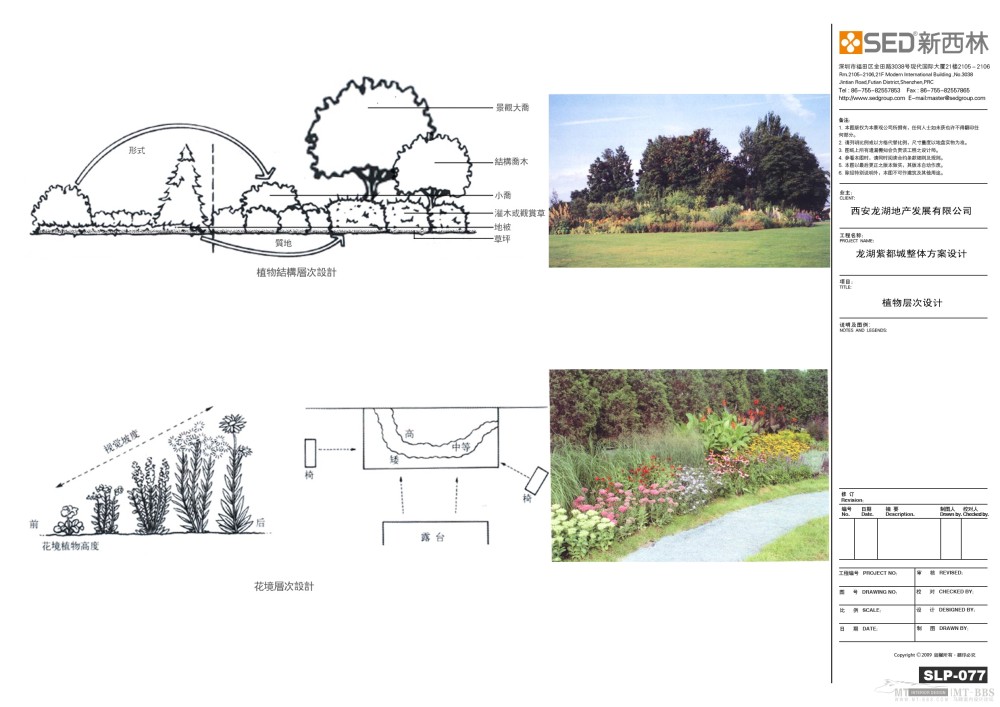 077植物层次设计.jpg