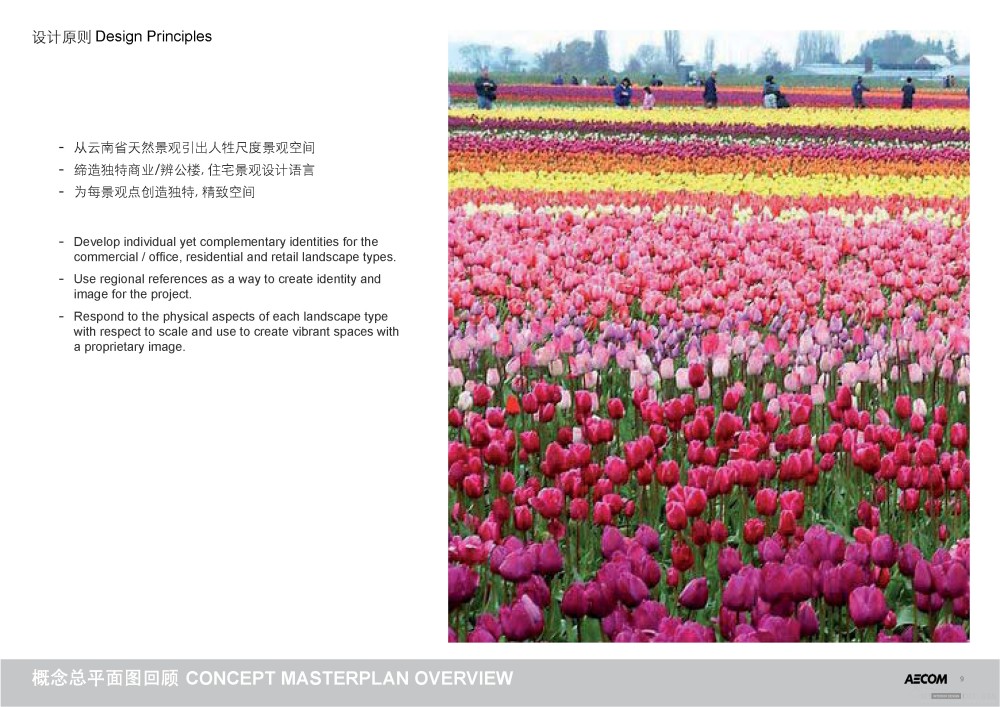 AECOM--云南实力新城景观方案设计20110823_20110823_FINAL_REV_A_页面_09.jpg