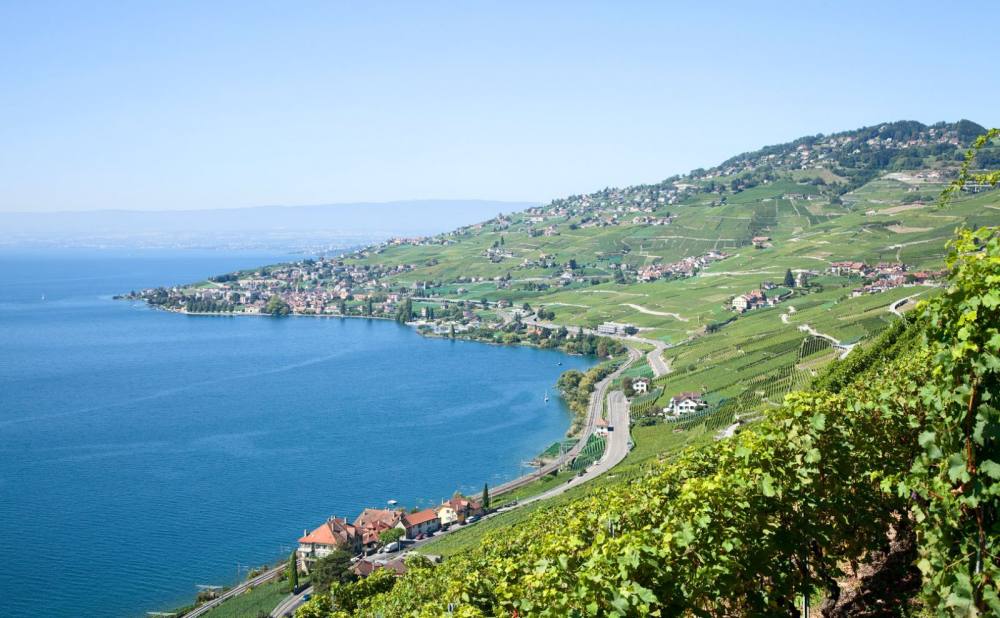 瑞士日内瓦拉沃酒店 Hotel Lavaux_lavaux_1620x1000_copyright.jpg