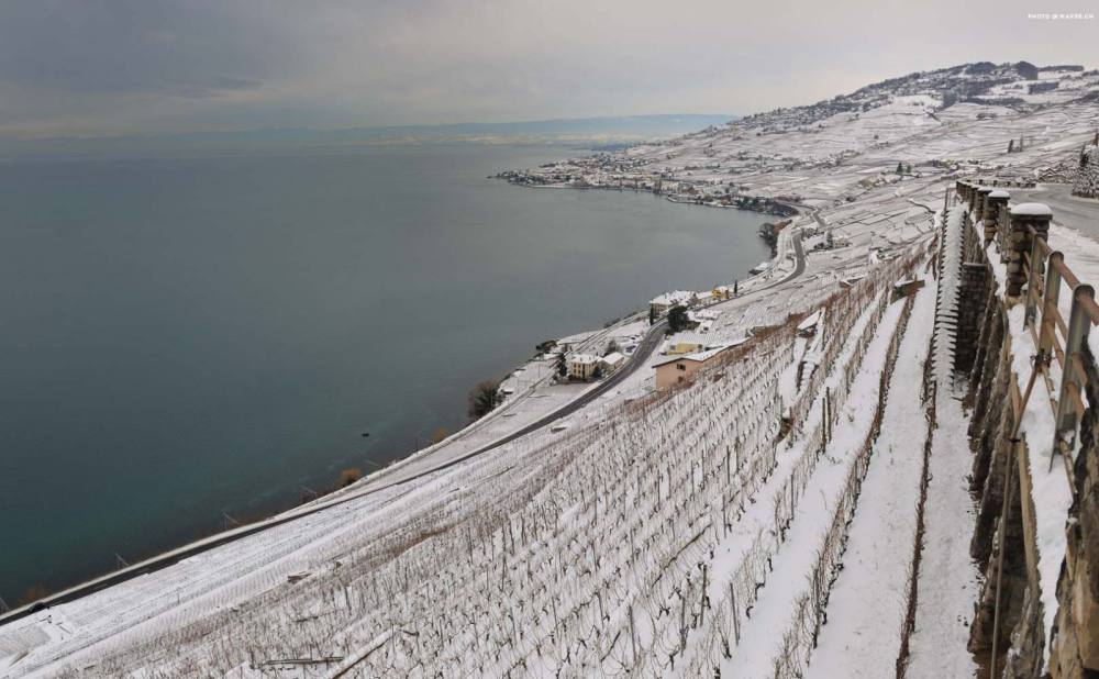 瑞士日内瓦拉沃酒店 Hotel Lavaux_paysage_hiver_1620x1000_copyright.jpg