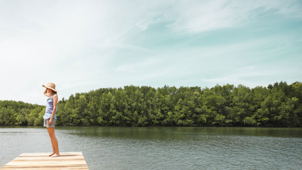 泰国 普吉岛 考拉克酒店 Casa De La Flora,Thailand_Mangrove3.jpg