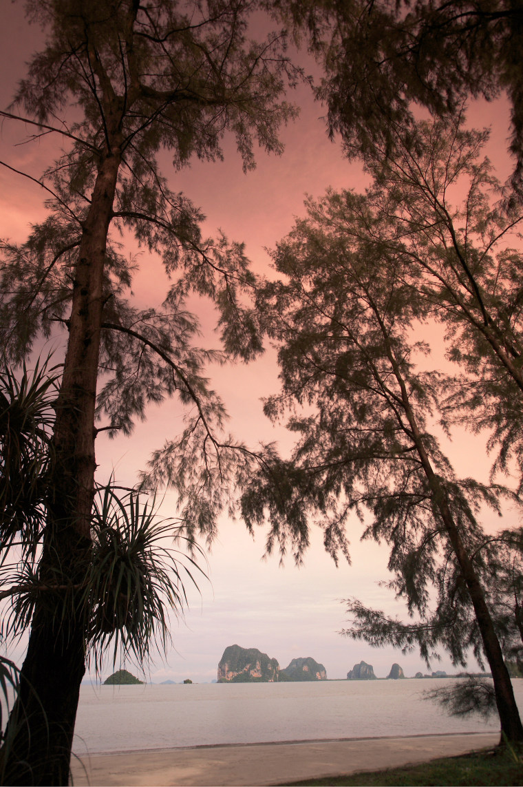 泰国苏梅岛拉瓦娜水疗度假村 Anantara Lawana Koh Samui Resort & Spa_Palm tree sunset.jpg