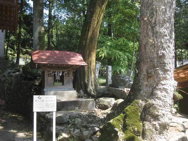 日本--大崎八幡神社_yokote_yokote3.jpg