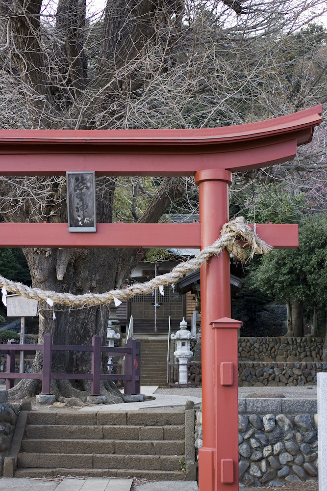 日本--熊野神社_8932453.jpg