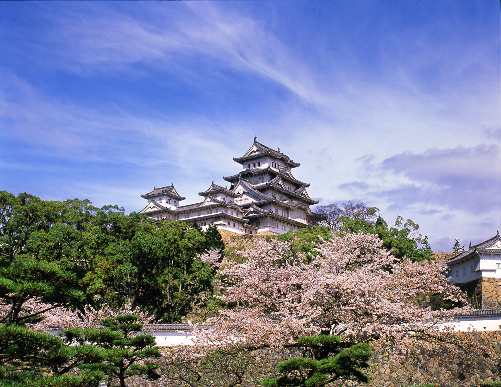 世界文化遗产--日本第一名城姬路城_春天樱花盛开的名城.jpg