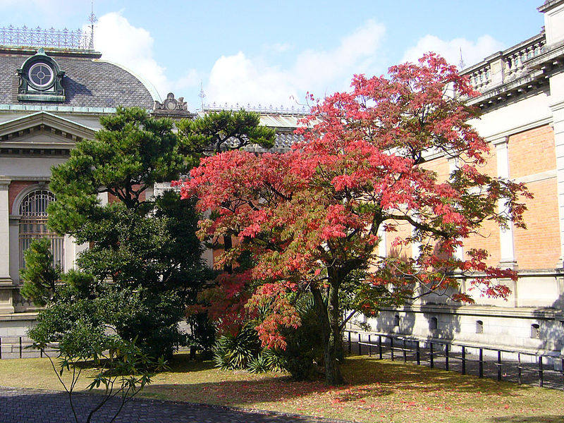 日本国宝系列鉴赏_800px-Kyoto_national_museum06_1024.jpg