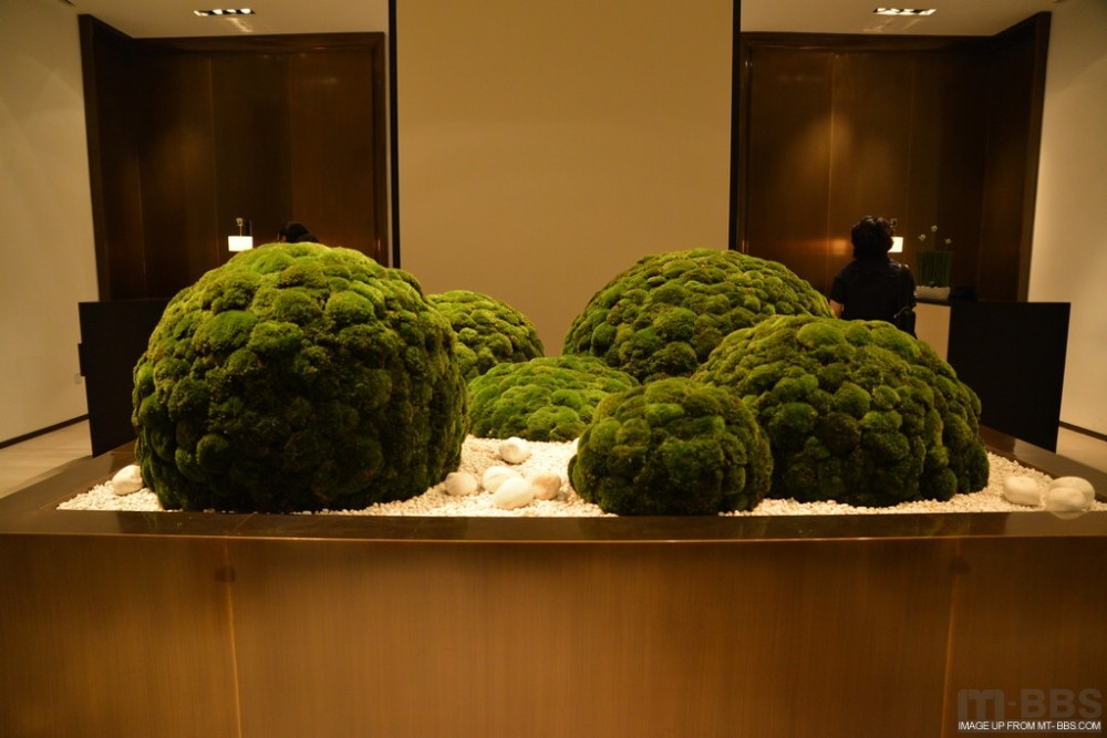 广州文华东方酒店超高清自拍_DSC_1876.JPG