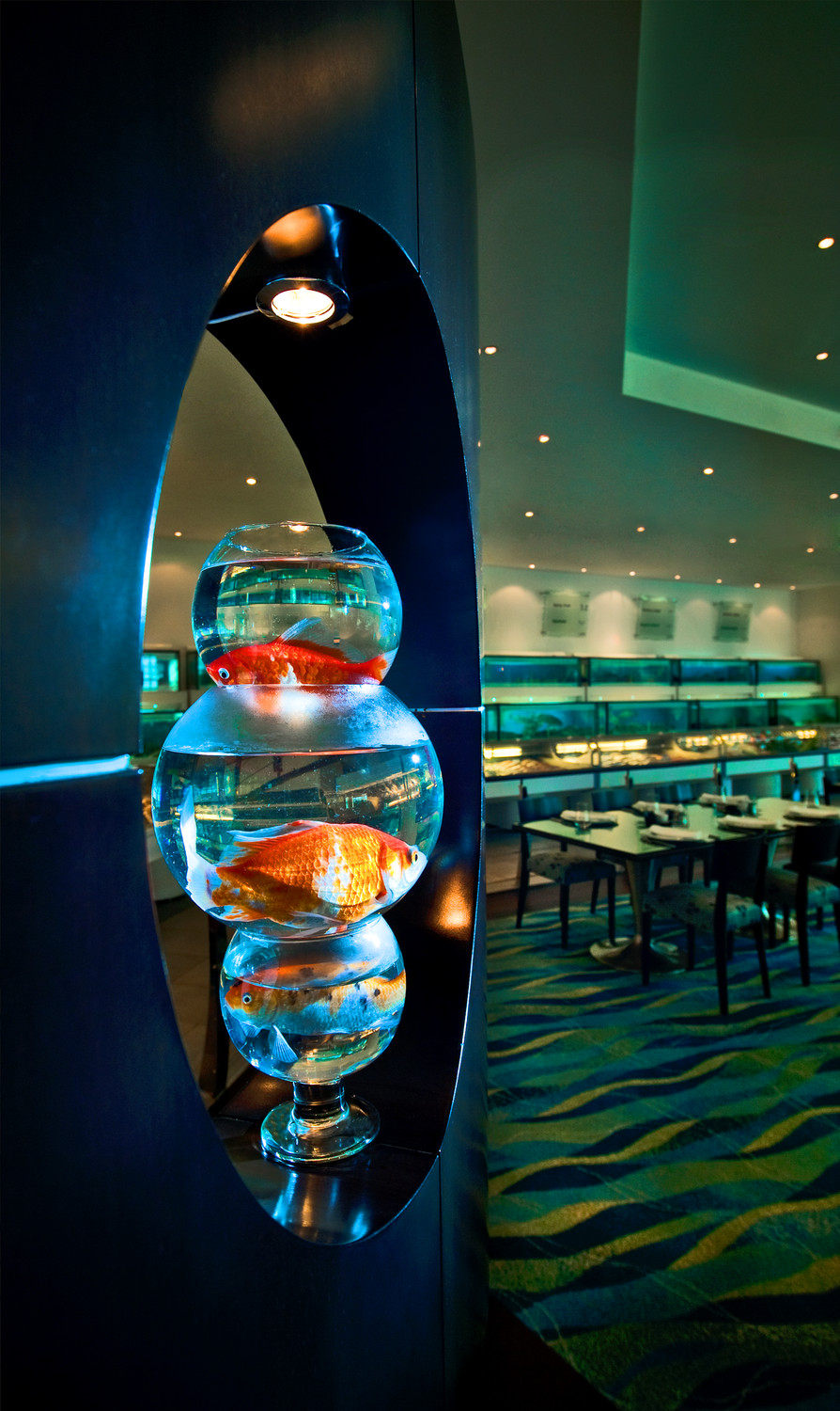 迪拜艾美酒店Le Meridien Dubai_38)Le Meridien Dubai—Seafood Market - Far eastern style restaurant 拍攝者.jpg