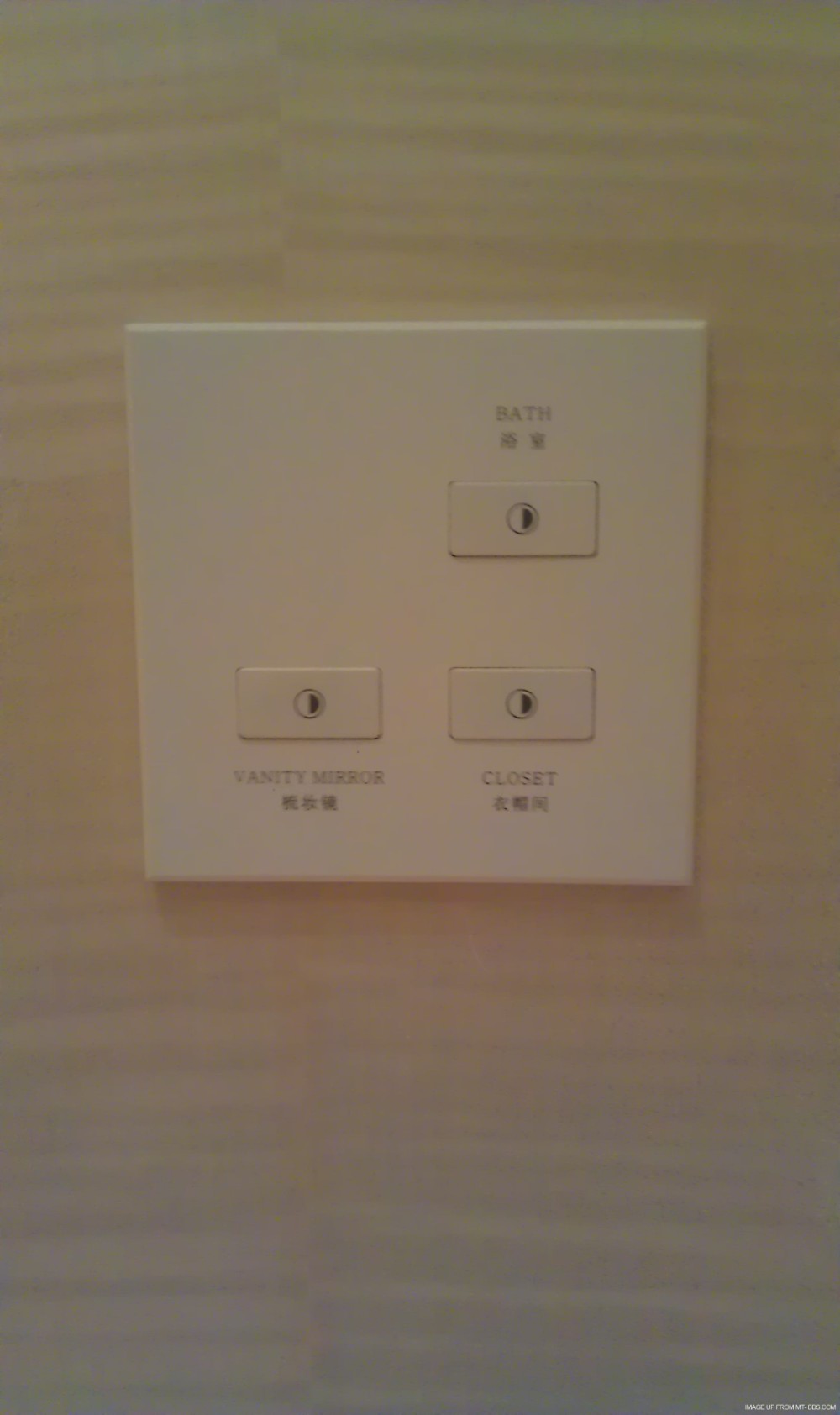 IMAG2425.jpg