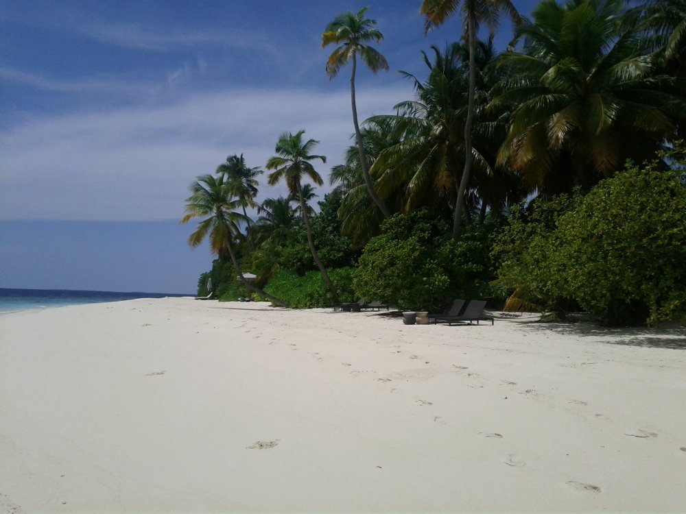 马尔代夫哈达哈岛柏悦酒店Park Hyatt Maldives Hadahaa高清自拍_park-hyatt-maldives-hadahaa-beach-pictures-7.jpg