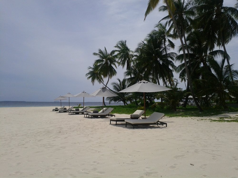 马尔代夫哈达哈岛柏悦酒店Park Hyatt Maldives Hadahaa高清自拍_park-hyatt-maldives-hadahaa-sun-chairs.jpg