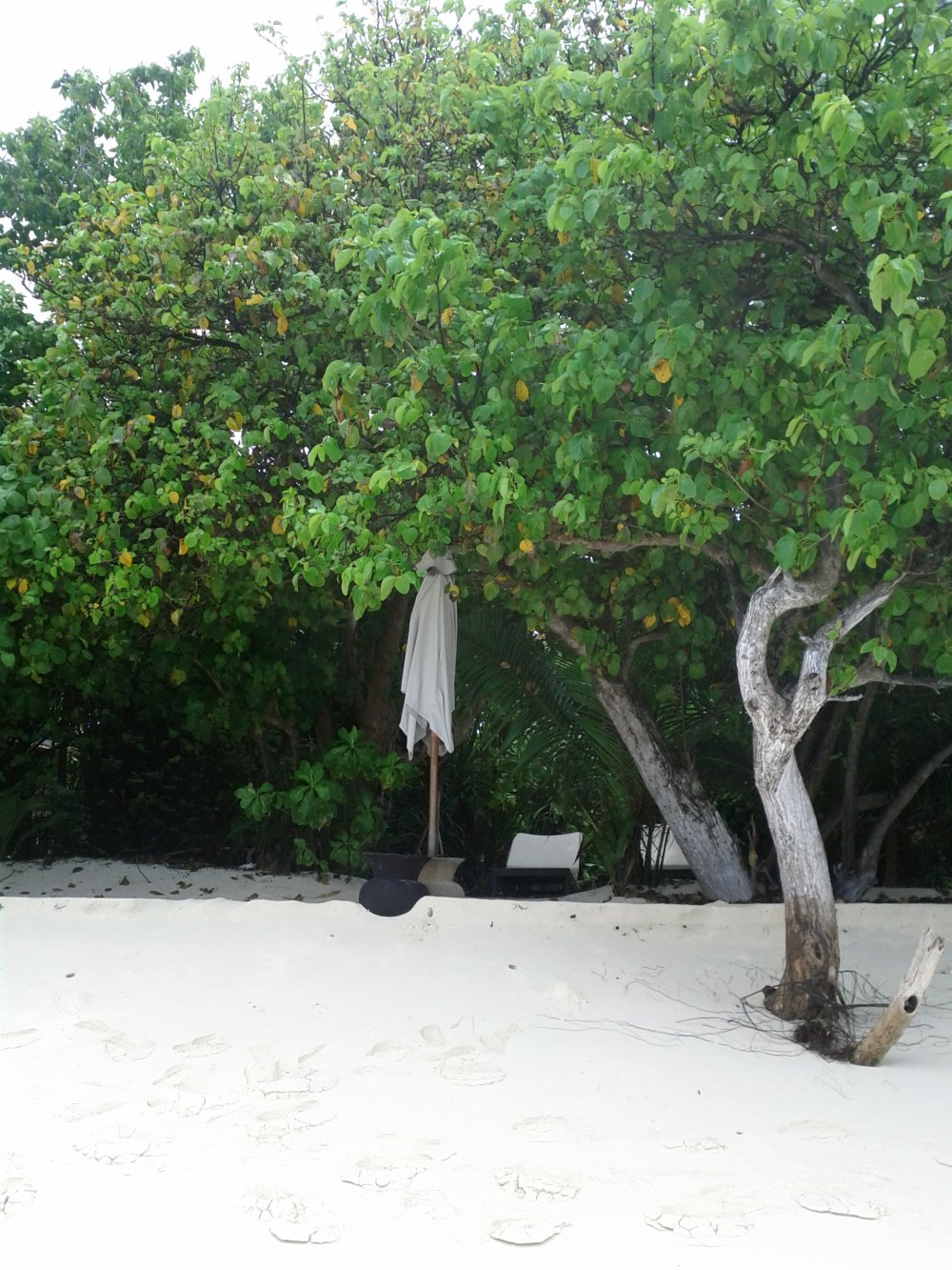 马尔代夫哈达哈岛柏悦酒店Park Hyatt Maldives Hadahaa高清自拍_park-hyatt-maldives-hadahaa-sun-chairs-under-trees.jpg
