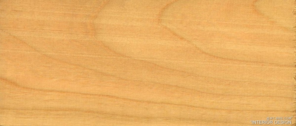 50种木材识别大图及介绍 1200dpi_03-Hardwood-americancherry-美国樱桃木.jpg