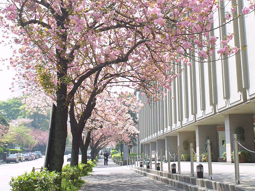 东京新大谷饭店 Hotel New Otani Tokyo_61570001a0omu_4.jpg