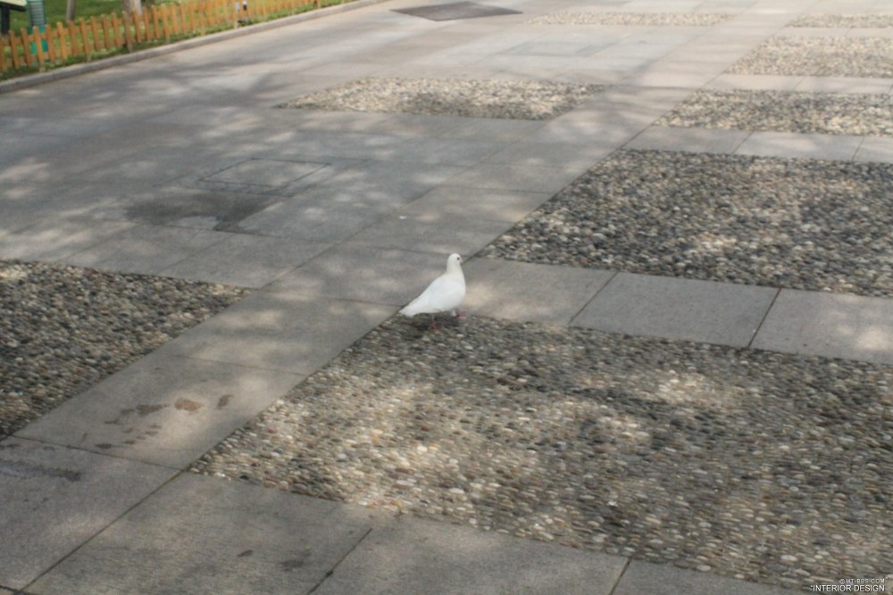 自拍-无锡+灵山大佛+2013/04/13_IMG_1694.jpg