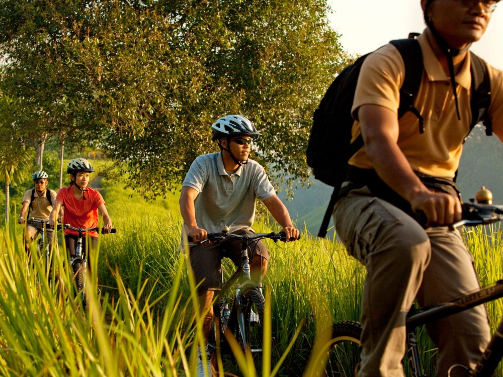 巴厘岛乌布科莫乌玛酒店 Uma by COMO, Ubud_umaubud_bkg_biking_closeup.jpg