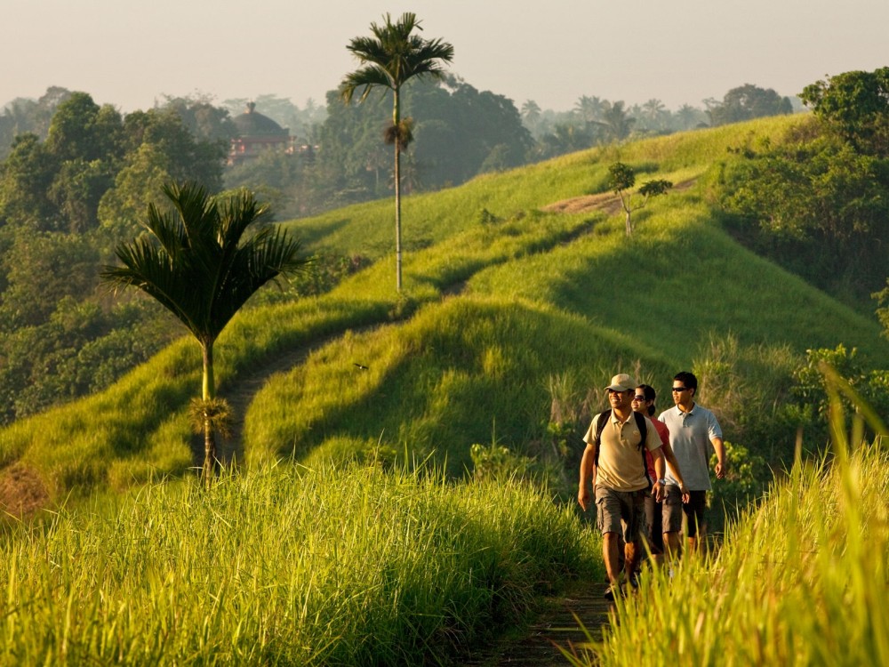 巴厘岛乌布科莫乌玛酒店 Uma by COMO, Ubud_umaubud_bkg_morning_walk.jpg