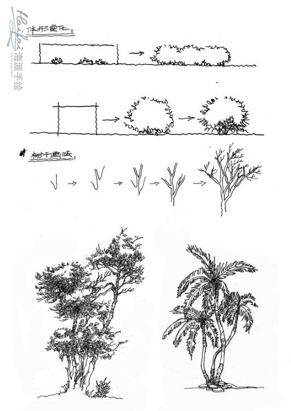 转载：在宿舍把这100张钢笔画临摹完，不去培训班都可以..._006.jpg